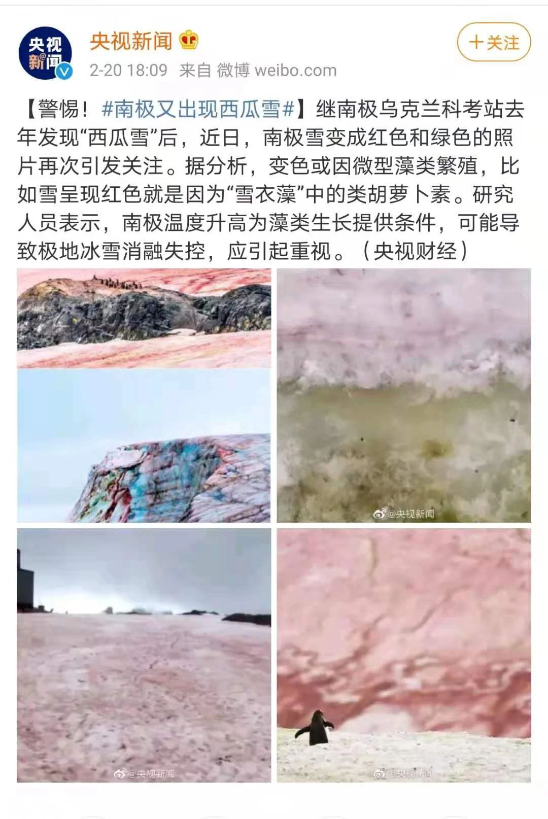 人类命运共同体的基石—关于创建中国蚕桑大学将桑树更名为中华龙树的可行性分析